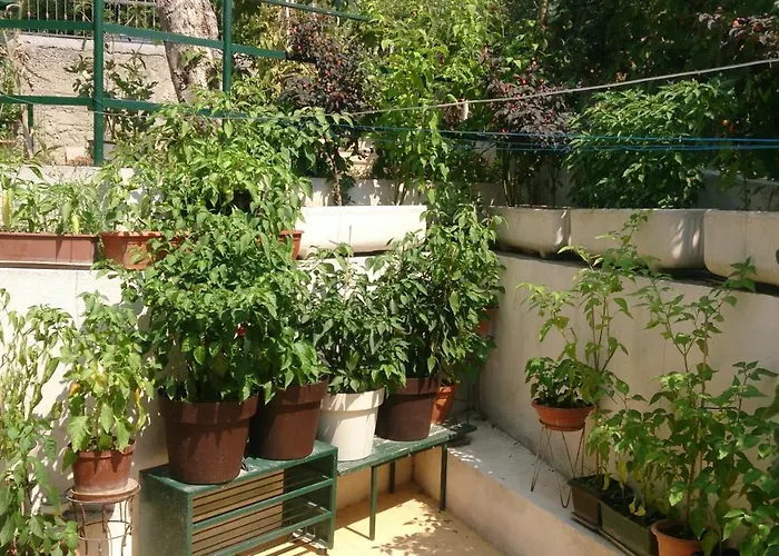 Paro Apartmán