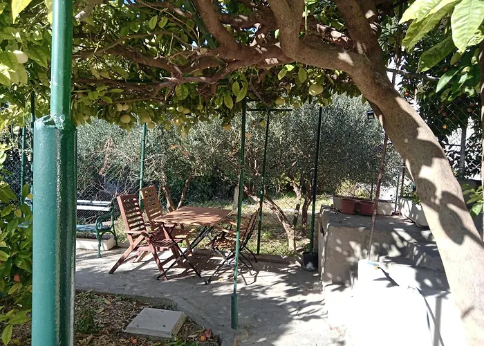 Paro *