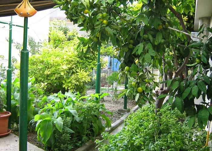 Paro Apartmán Split