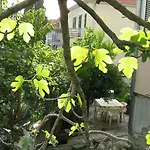 Paro 公寓 斯普利特