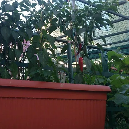 شقة Paro سبليت