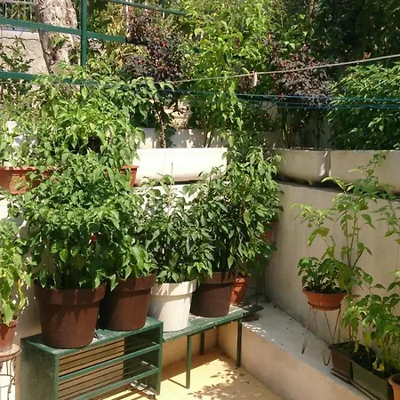 Paro Apartament