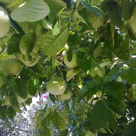 Paro 아파트 스플리트