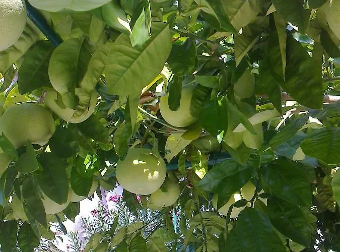 Paro Appartamento Spalato