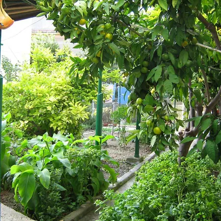 Paro Apartament Split